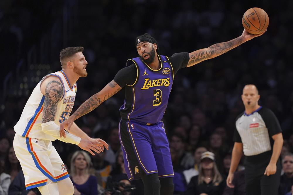 们提供了一 们提供了一